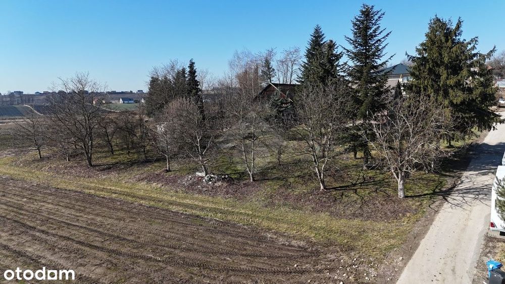 Prostokątna działka budowlana - Widok 5