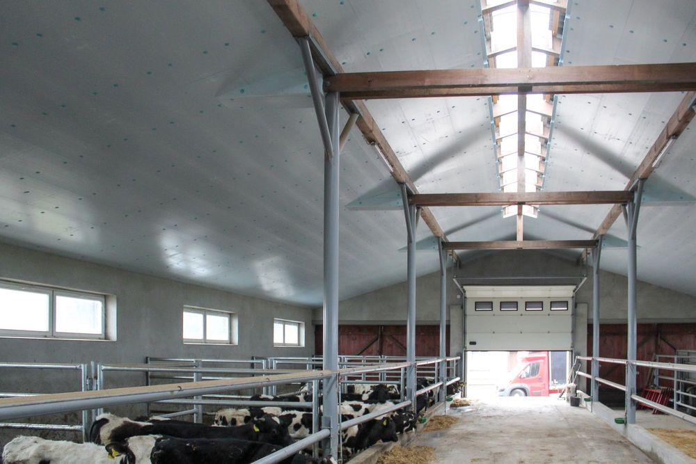 Płyta Ocieplająca Docieplająca Izolująca Styrodur XPS AGRO Do Obory