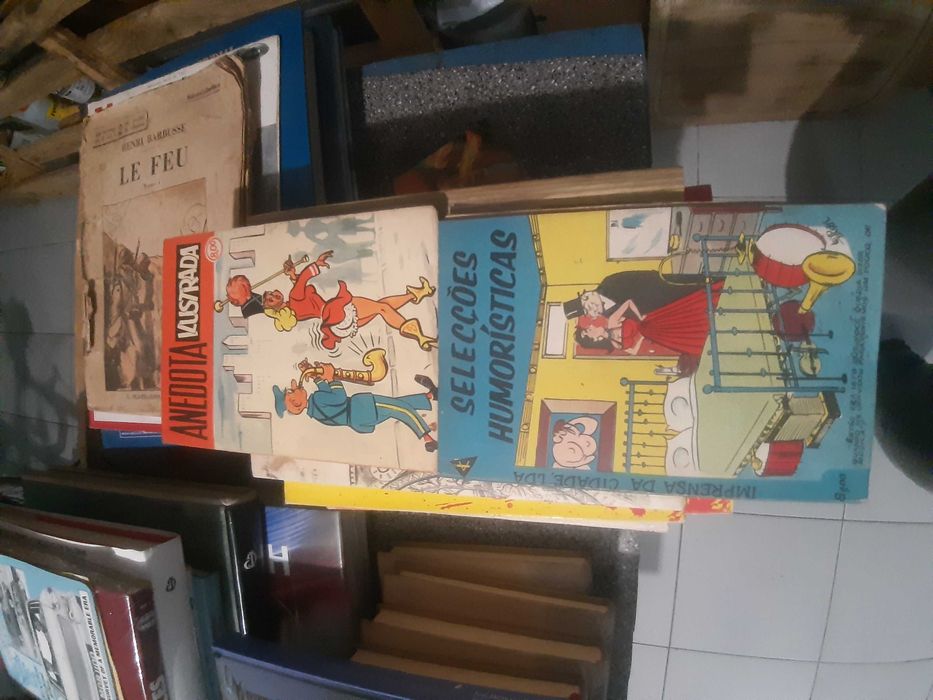 Livros raros, antigos e  banda desenhada troco gps autocaravana