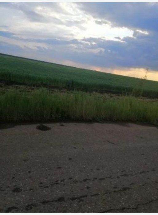 продам 100га земли в овидеопольском раене  от хозяина Большая Долина