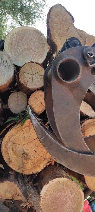 Lenha Seca Eucalipto/Pinho