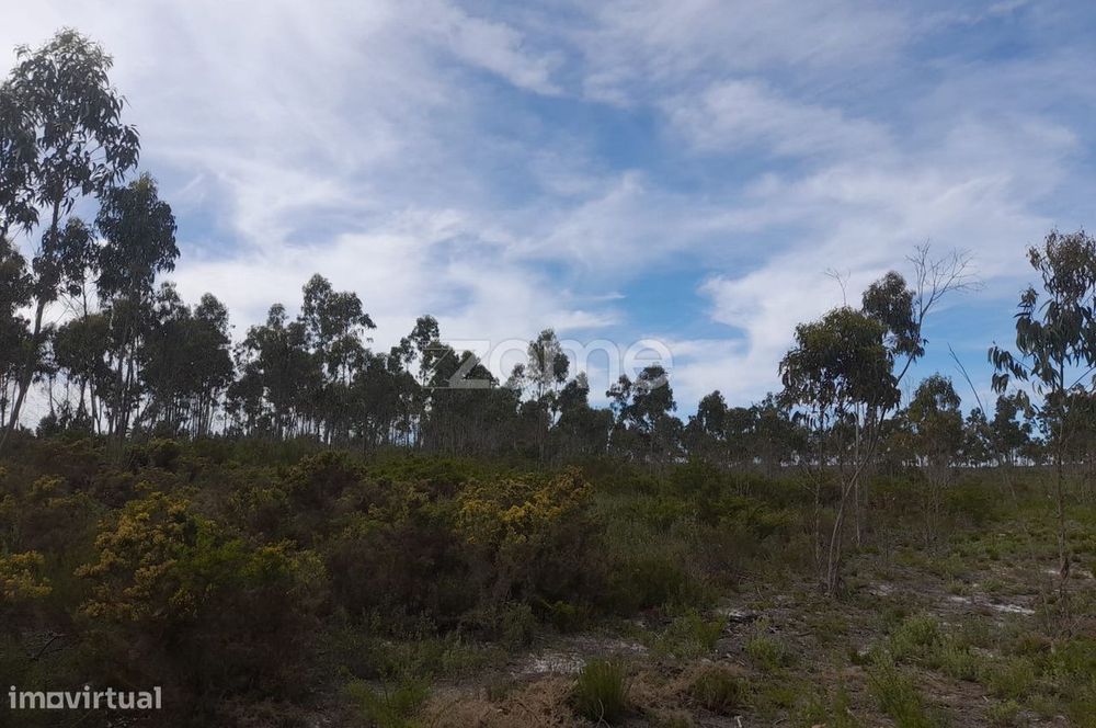 Terreno Rustico com 12580m2
