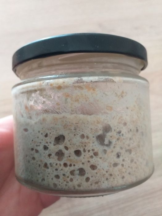 Zakwas orkiszowy do wypieku domowego chleba