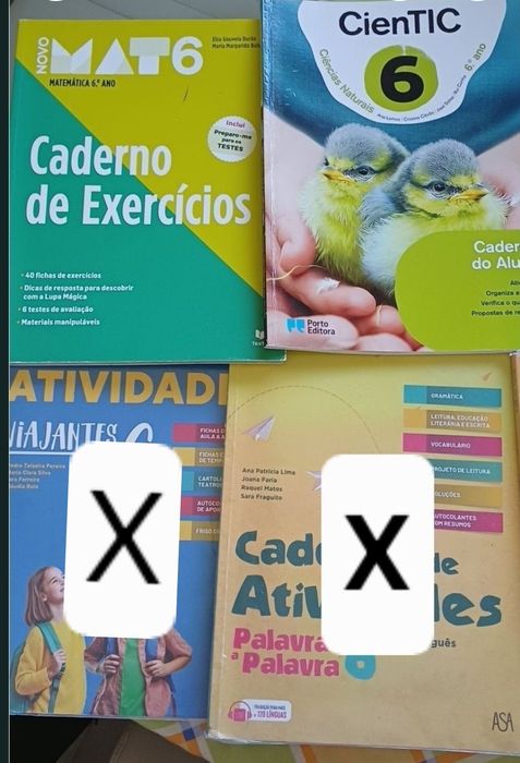 Cadernos de atividades 6° ano