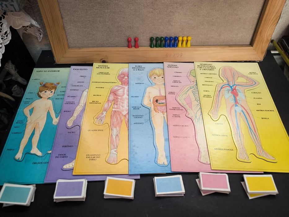 Jogo Anatomia Majora