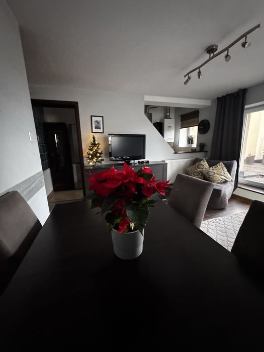 Centrum Karpacza Apartament Leonos z widokiem na Śnieżkę od 05.03