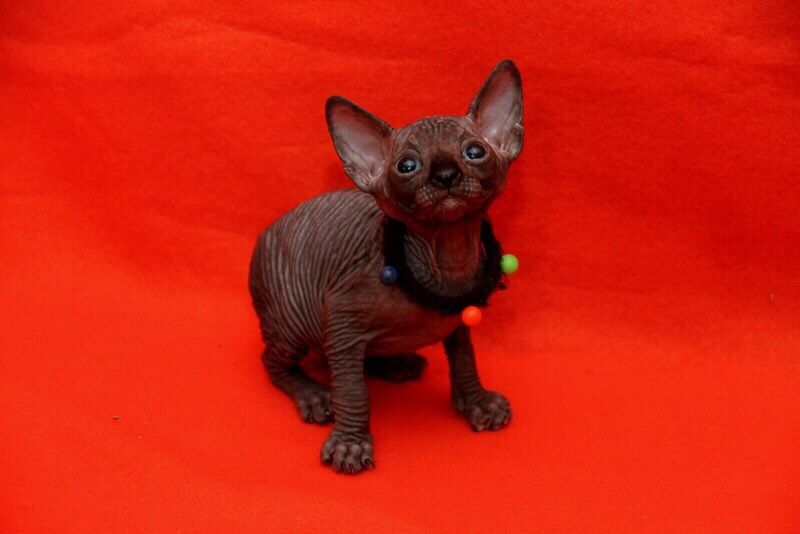 Супер красивые малыши