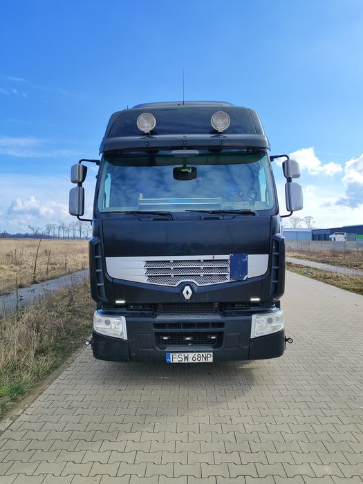Ranult Premium dxi 450