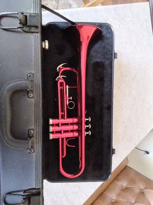 Труба музикальна