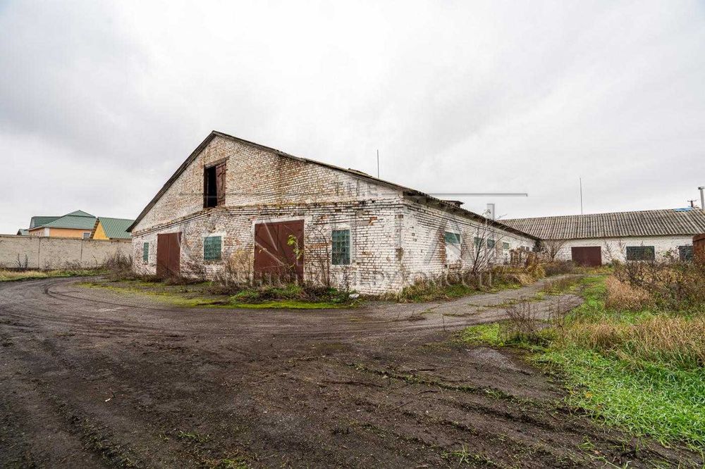 Продаж фермерського комплексу в селі Шпитьки, Київська область