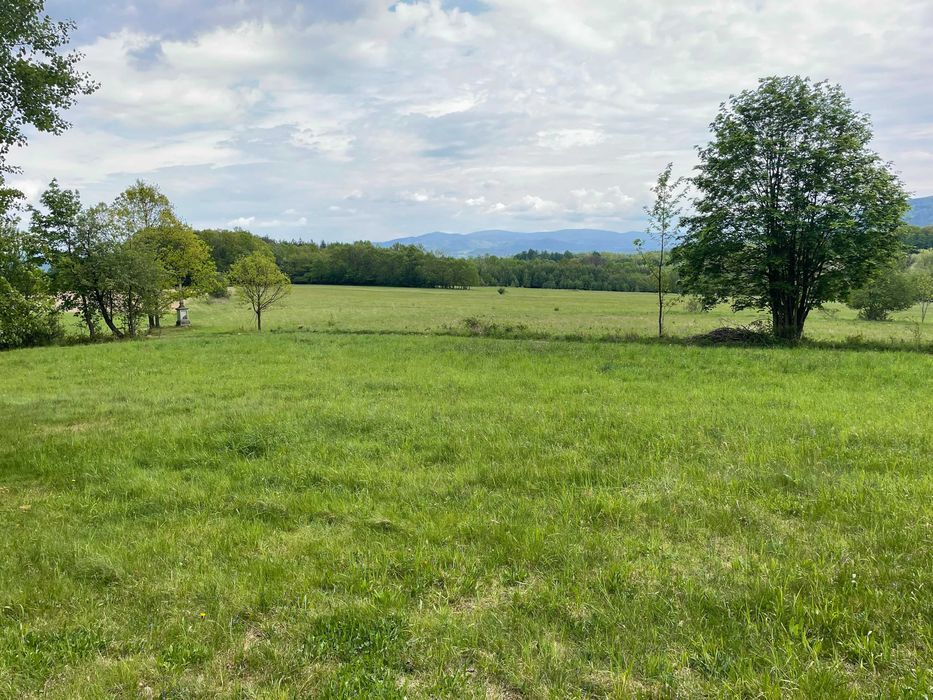 Widokowa działka budowlana z Warunkami Zabudowy - Starkówek - pod lasem - 1831 m² – 5 km od Polanicy Zdroju - z widokiem na Śnieżnik