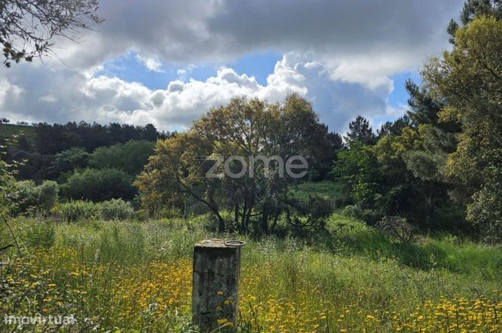 Terreno, Favaios