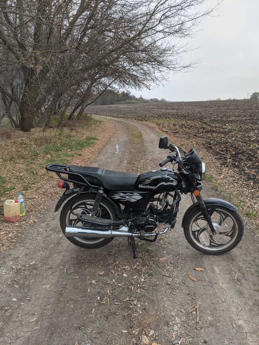 Мустанг фіт 125 Альфа