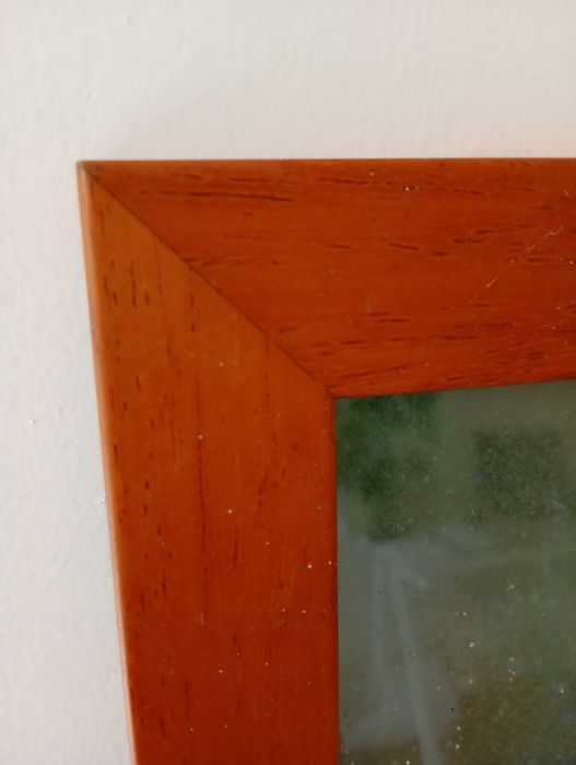 Quadro Foto Real de Leoa