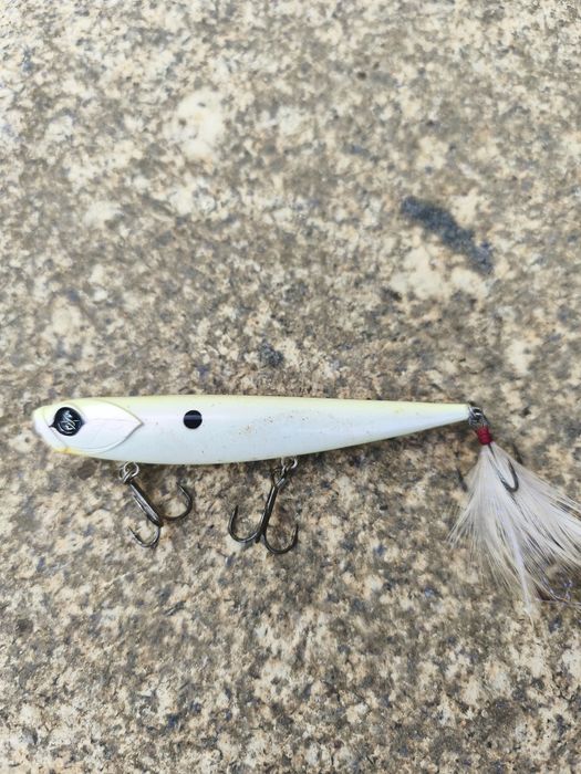 Vendo amostras superfície achigã