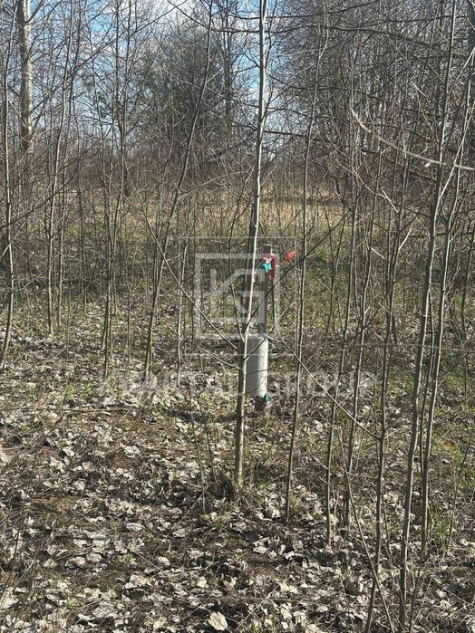 Продаж / Земля сільгосппризначення / Онтаріо, Михайлівка-Рубежівка