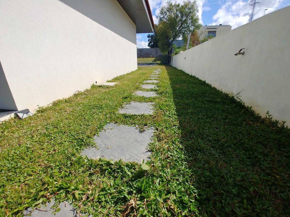 Relva brasileira - Grama São Carlos - 112 pés € 9,90