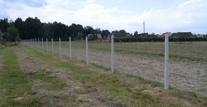 Ogrodzenie siatka leśna betonowe słupki
