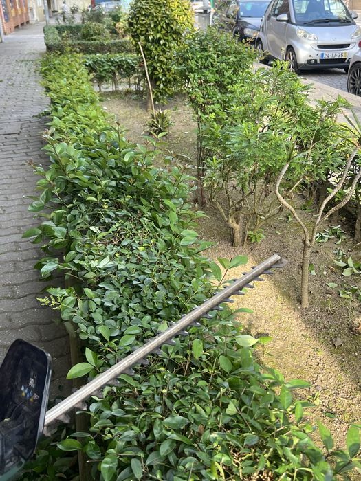 Servicos de jardinagem e limpeza de terrenos.