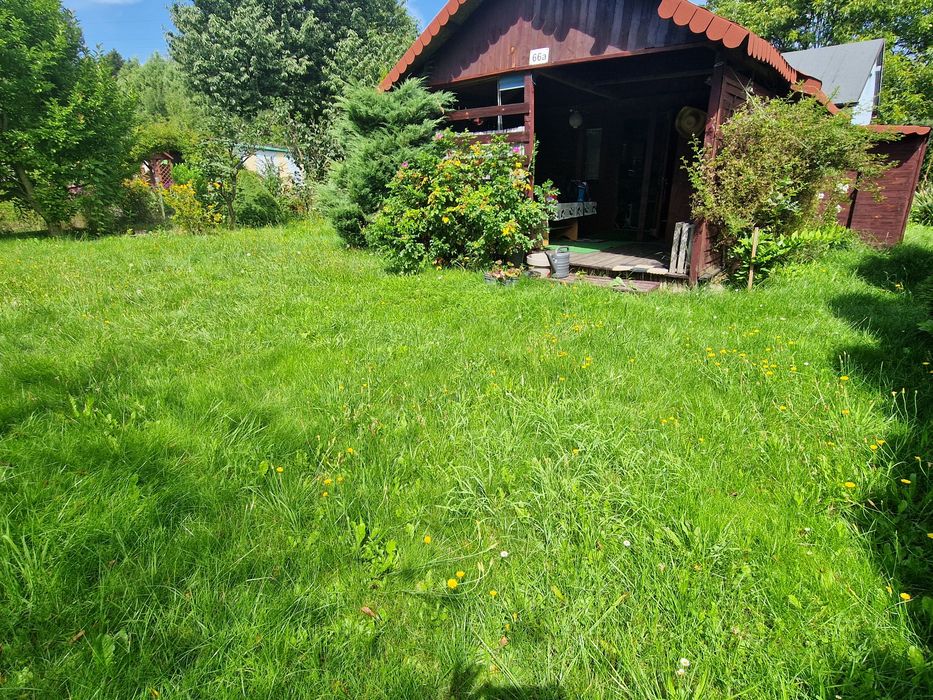 Działka rekreacyjna Sosnowiec