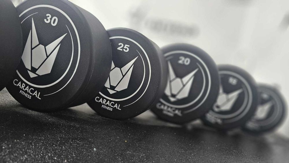 Sztangi Stałe Proste Zakres 10kg - 55kg Uretanowe Najwyższa Jakość!!