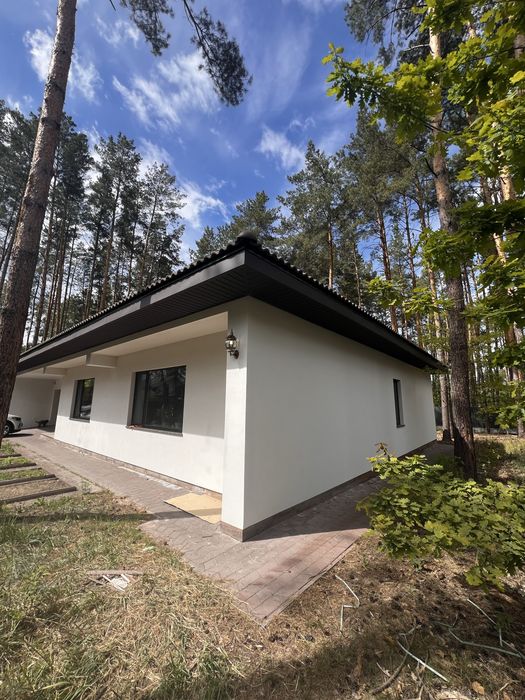 Сучасний екологічний  будинок у соснах