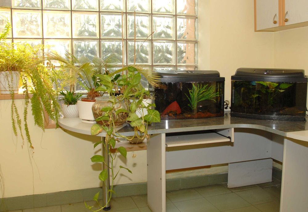 noclegi kwatery mieszkania