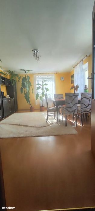 Dom-siedlisko z dużą działką