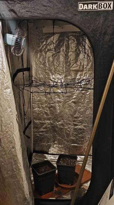 Armário de cultivo - Dark Box (100cm x 200cm) com extras