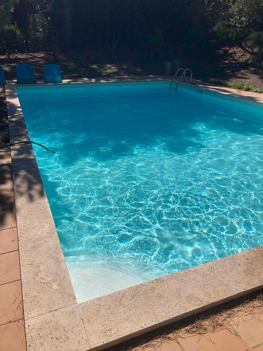 Asistente de Piscinas Online/Pool Maintenance Consulting/ Remote Help