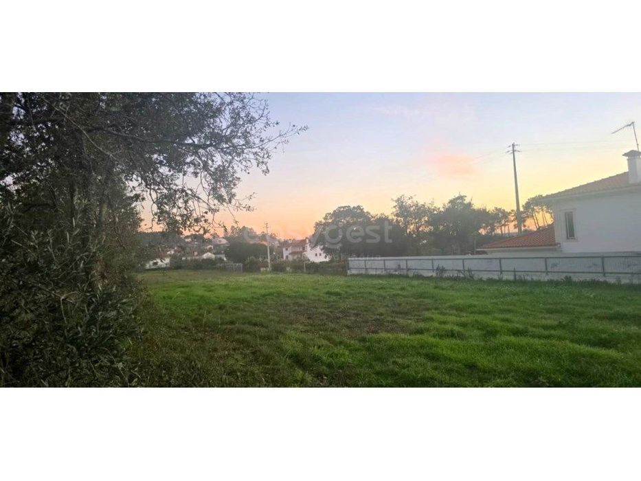 Terreno localizado em Souto da Carpalhosa