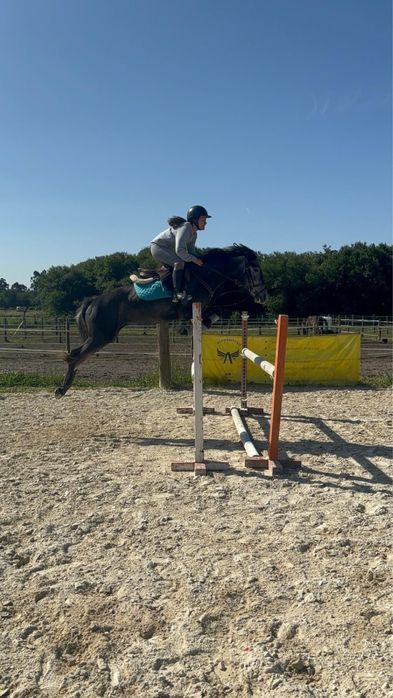 Poldra Cruzada de Saltos