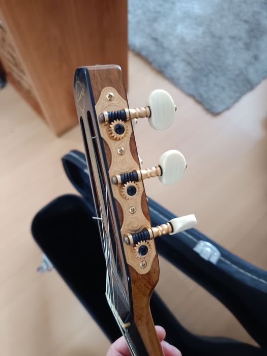 Gitane DG-350 Modele Jan Akkerman