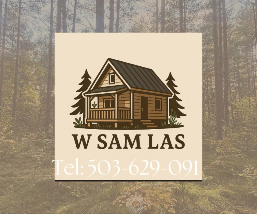 Wynajmę klimatyczny domek w lesie