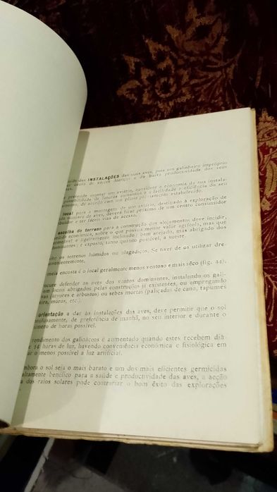 Agricultura Madeirense Avicultura A. Sérgio Pessoa