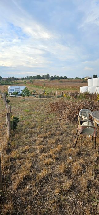 Terreno rústico em salreu, Estarreja