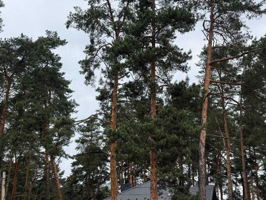 Продаж земельної ділянки Брюховичі