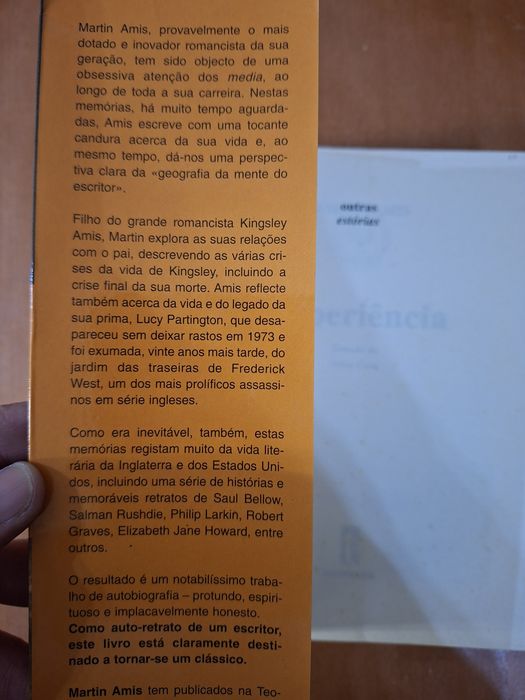 Martin Amis Experiência