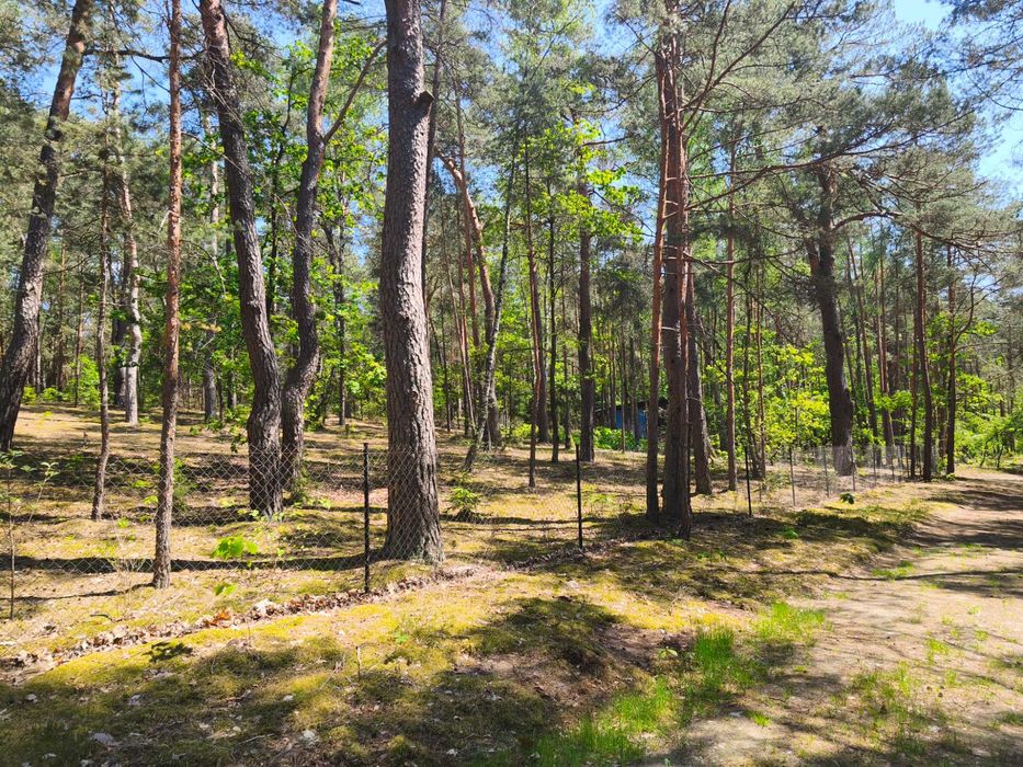 Sprzedam piękną działkę na Osiedlu Wilga w świetnej lokalizacji z decyzją o pozwoleniu na budowę - View 6
