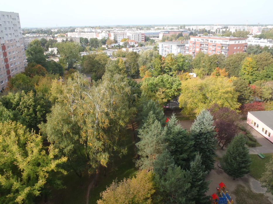 Ładny pokój dla mężczyzny
