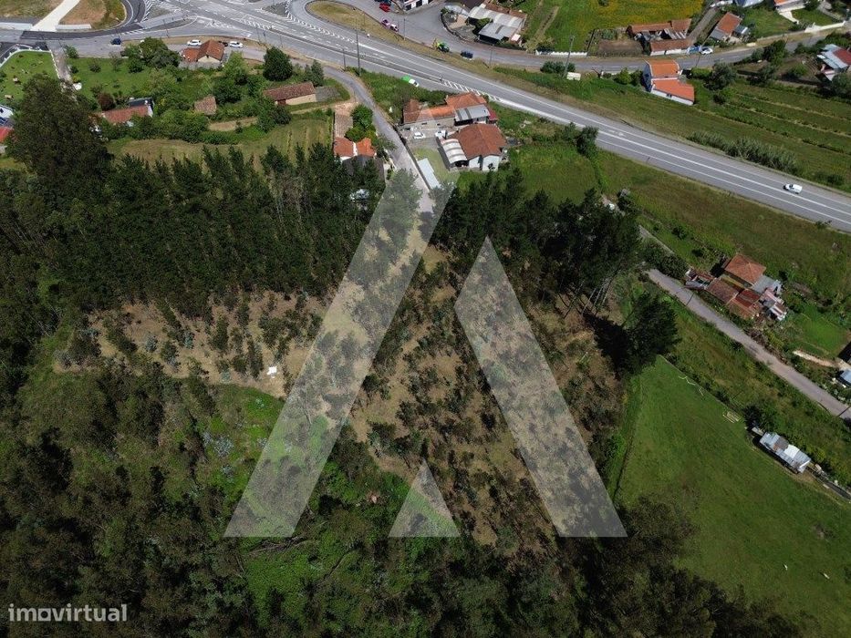 Terreno em Serém de Cima - Macinhata do Vouga