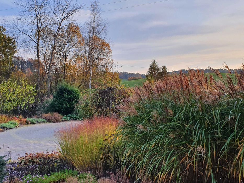Pokoje I Domki PRZY LEŚNICZÓWCE- Bory Tucholskie - Kaszuby