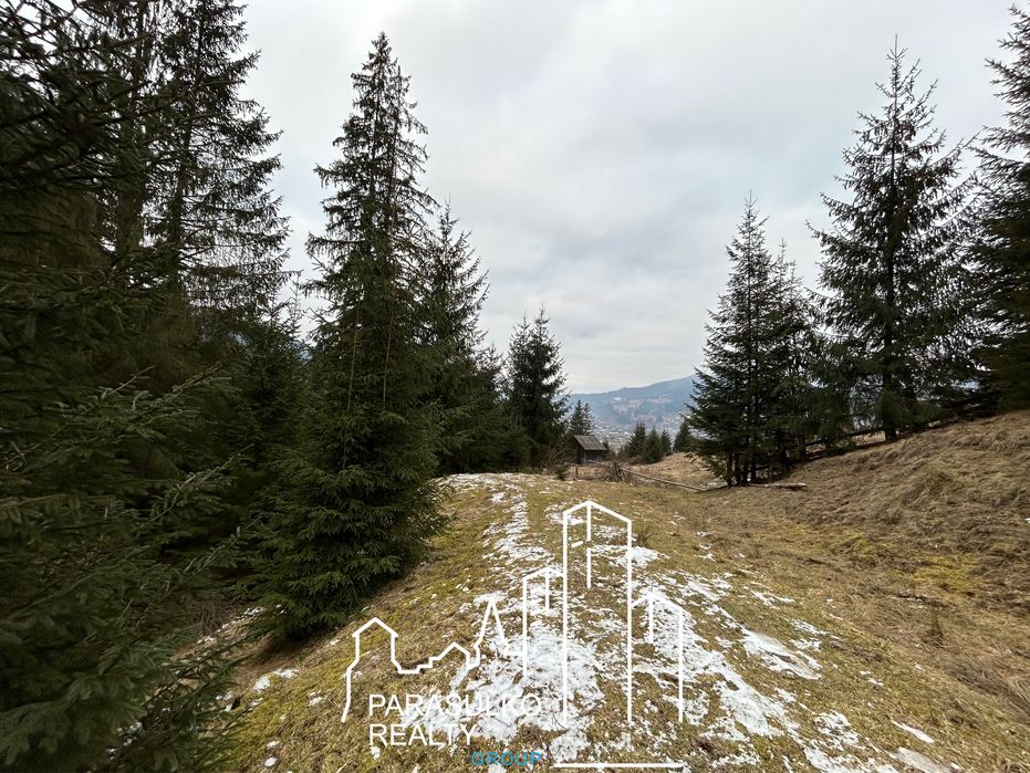 Продам земельну мальовничу ділянку в Карпатах