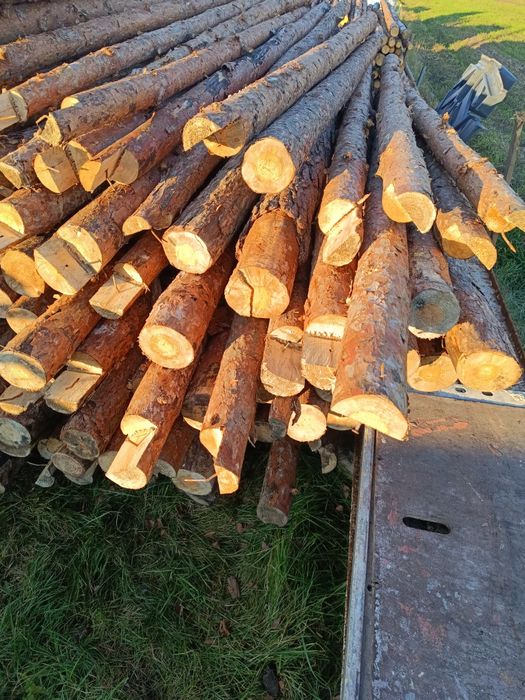 Stemple stęple budowlane 3m ok 250szt po 1 stropie