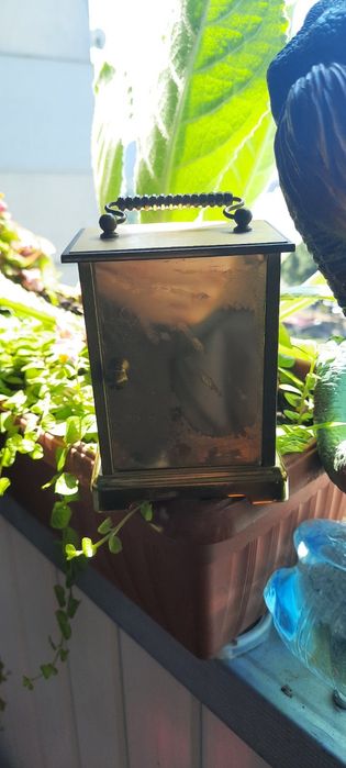 Часы для дома настольные Англия