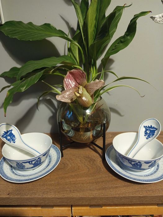 porcelana Chinska
