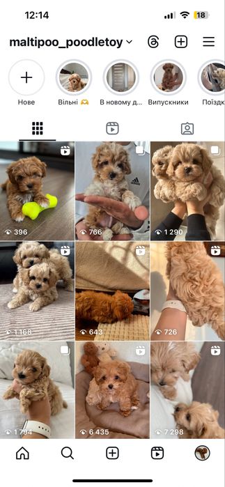 Хлопчик з білими маркерами