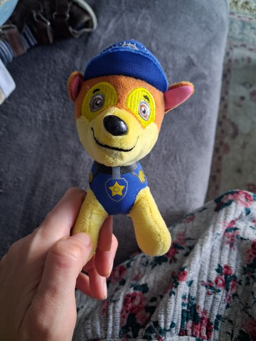 Maskotka Chasee Psi Patrol