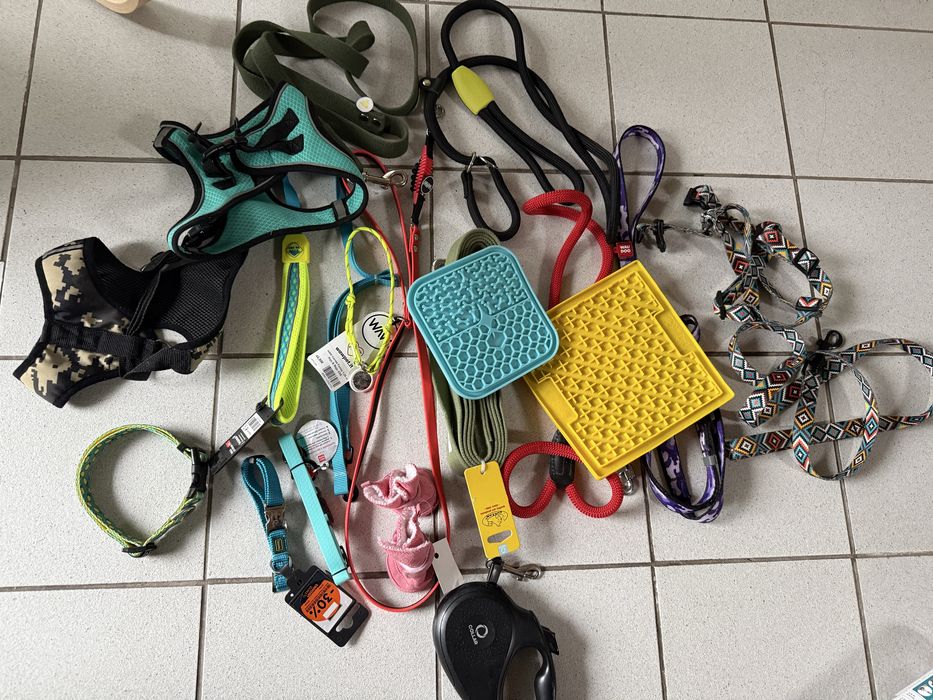 Игрушки амуниция для собак одежда