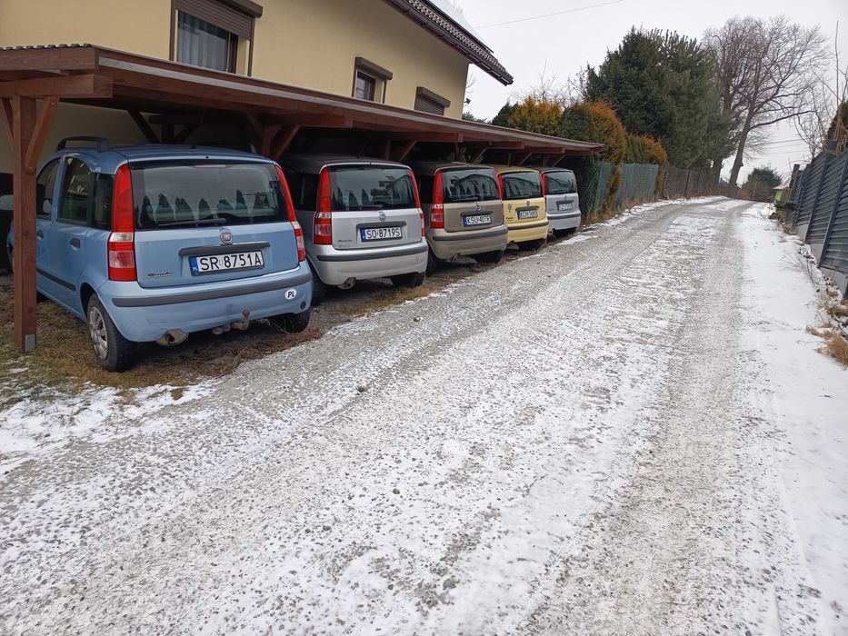 Panda z polskiego salonu ze wspomaganiem + CITY 2006/2007